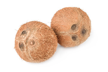 Coconut close-up isolated on white background