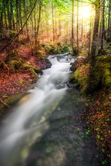 sunset on a stream