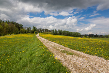 Gravel road at spring in Niedzica, Poland