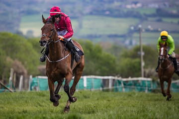 Lead race horse and jockey galloping on the track