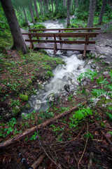 Obraz premium beginning of a stream