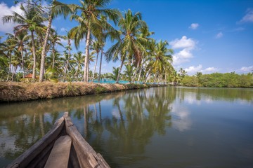 Obraz premium Canoe ride through backwater canals in Munroe Island