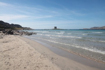 Spiaggia della pelosa