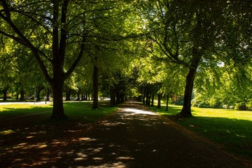 Fototapeta na wymiar Clifton Promenade in the spring with green trees and leafs 