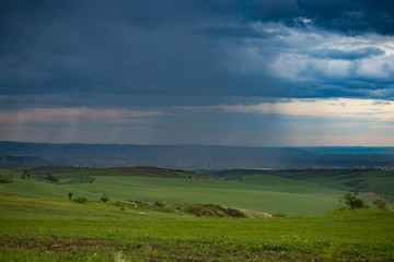 Heavy rain over the meadows at evening.