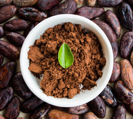 Cocoa powder in a small bowl, roasted cocoa beans around. Top view, high contrast.