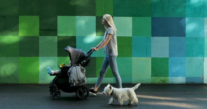Young mother with baby in stroller with westie west highland terrier dog