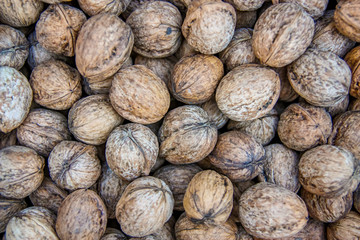 Natural walnut background pattern texture