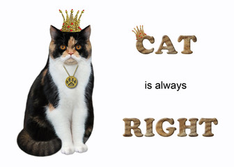 The cat queen is wearing a crown and a medallion. Cat is always right. White background. Isolated.