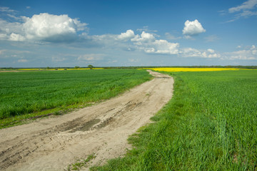 Sandy road through green fields and clouds in the sky