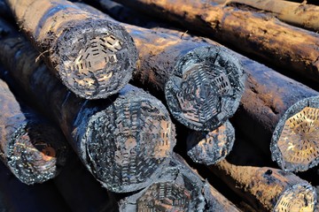 Creosote treated poles.