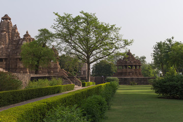 Fototapeta na wymiar Tree amongst khajuraho temples in madhya pradesh india
