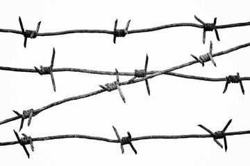 Barbed wires isolated on white background. Black and white photo.