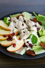 Salad with turkey, lettuce, spinach, sliced apple, pomegranate seeds, blue cheese and honey mustard dressing. Dark wooden table, high resolution