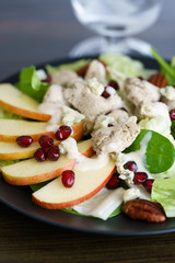 Salad with turkey, lettuce, spinach, sliced apple, pomegranate seeds, blue cheese and honey mustard dressing. Dark wooden table, high resolution