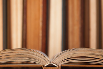 Set of old book with opened sheets