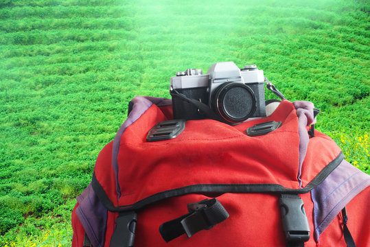 Camera lay on red backpack with background green farm on the mountain,travel concept.