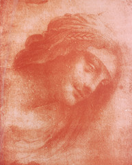 The head of the woman by Leonardo Da Vinci in the vintage book Disegni di Leonardo by L. Beltrami, Milan, 1904