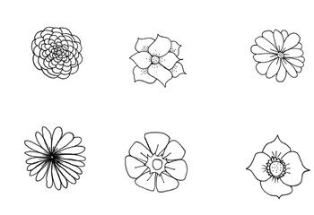 Lineart flowers nature petals plants