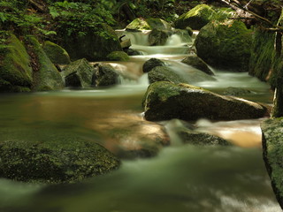 東濃の名瀑「寿老の滝」の美しい清流１