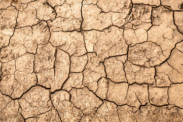 Cracked earth. Texture of cracks in the dry earth.