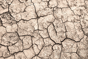 Cracked earth. Texture of cracks in the dry earth.