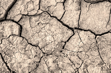 Cracked soil ground. Texture of cracks in the dry earth.