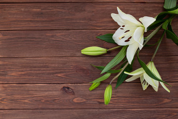 Spring flower on wooden background