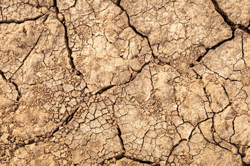 Cracked soil ground. Texture of cracks in the dry earth.