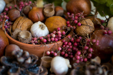 still life with autumn nuts