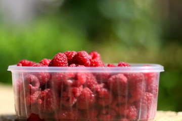 Freshly picked raspberries in a plastic packaging, in a garden. Selective focus, green background.