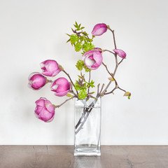 Beautiful sprig floral composition with pink magnolia. Spring interior decoration.