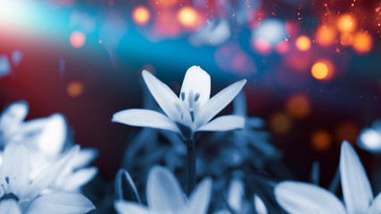 Floral background in neon color. Background macro grass, blurred bokeh, neon light. Nature