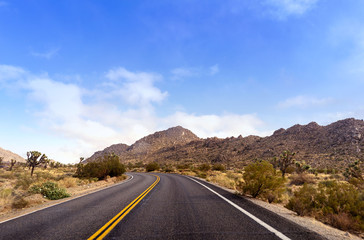 Empty dessert road with mountain landscape and Joshua trees. California, USA.