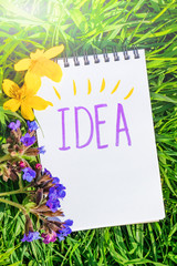 Notepad is lying on the green grass. Summer bright sunny cozy still life. In the notebook, the...
