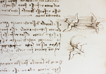 Bird, dove, mechanism of flight in the vintage book Manuscripts of Leonardo da Vinci, Codex on the Flight of Birds by T. Sabachnikoff, Paris, 1893