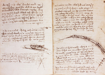 Bird bones, manuscripts in the vintage book Manuscripts of Leonardo da Vinci, Codex on the Flight of Birds by T. Sabachnikoff, Paris, 1893