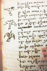 Bird, dove, mechanism of flight and manuscripts in the vintage book Manuscripts of Leonardo da Vinci, Codex on the Flight of Birds by T. Sabachnikoff, Paris, 1893