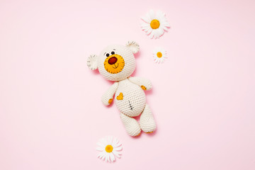Toy teddy bear with daisies isolated on a pink background. Baby background. Copy space, top view