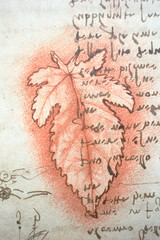 The red leaf and manuscripts in the vintage book Manuscripts of Leonardo da Vinci, Codex on the Flight of Birds by T. Sabachnikoff, Paris, 1893