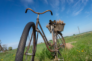 Fototapeta na wymiar Rusty old bicycle in a country meadow