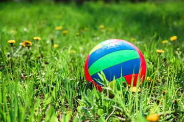 Multi-colored ball for the game Volleyball lies on the green grass, summer day