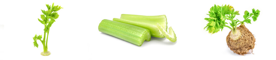 Collection of celeriac on a background