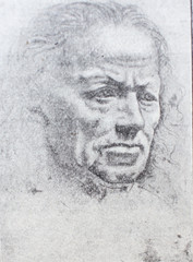 The head of the old man by  Leonardo da Vinci in the vintage book Leonardo Da Vinci by M. Sumtsov, Kharkov, 1900