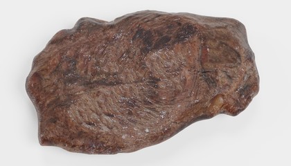 Realistic 3D Render of Beef Steak