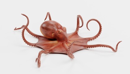 Realistic 3D Render of Giant Pacific Octopus © bescec