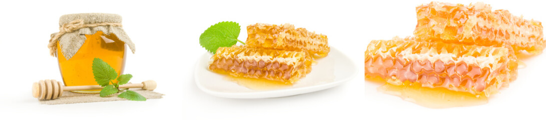 Set of honey bee isolated on a white background with clipping path