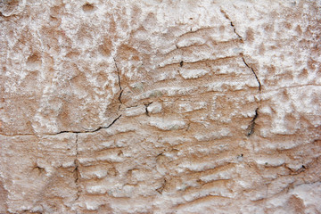 texture rough brown gray surface of an old cement wall with cracks, patterns and divorces
