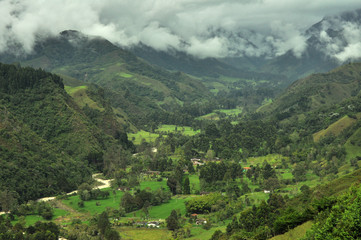 Vista panoramica de un paisaje en el Quindio Colombia con bosque de niebla