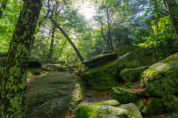 A hiking trail at Purgatory Chasm State Reservation in Sutton Massachusetts